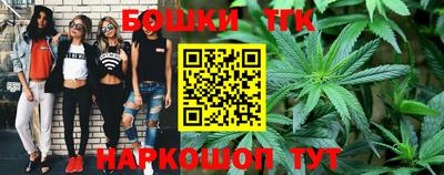МДПВ Новозыбков