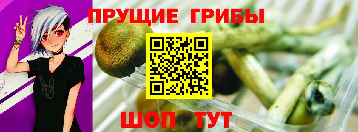 Галлюциногенные грибы прущие грибы  продажа наркотиков  Улан-Удэ  Вход с VPN 